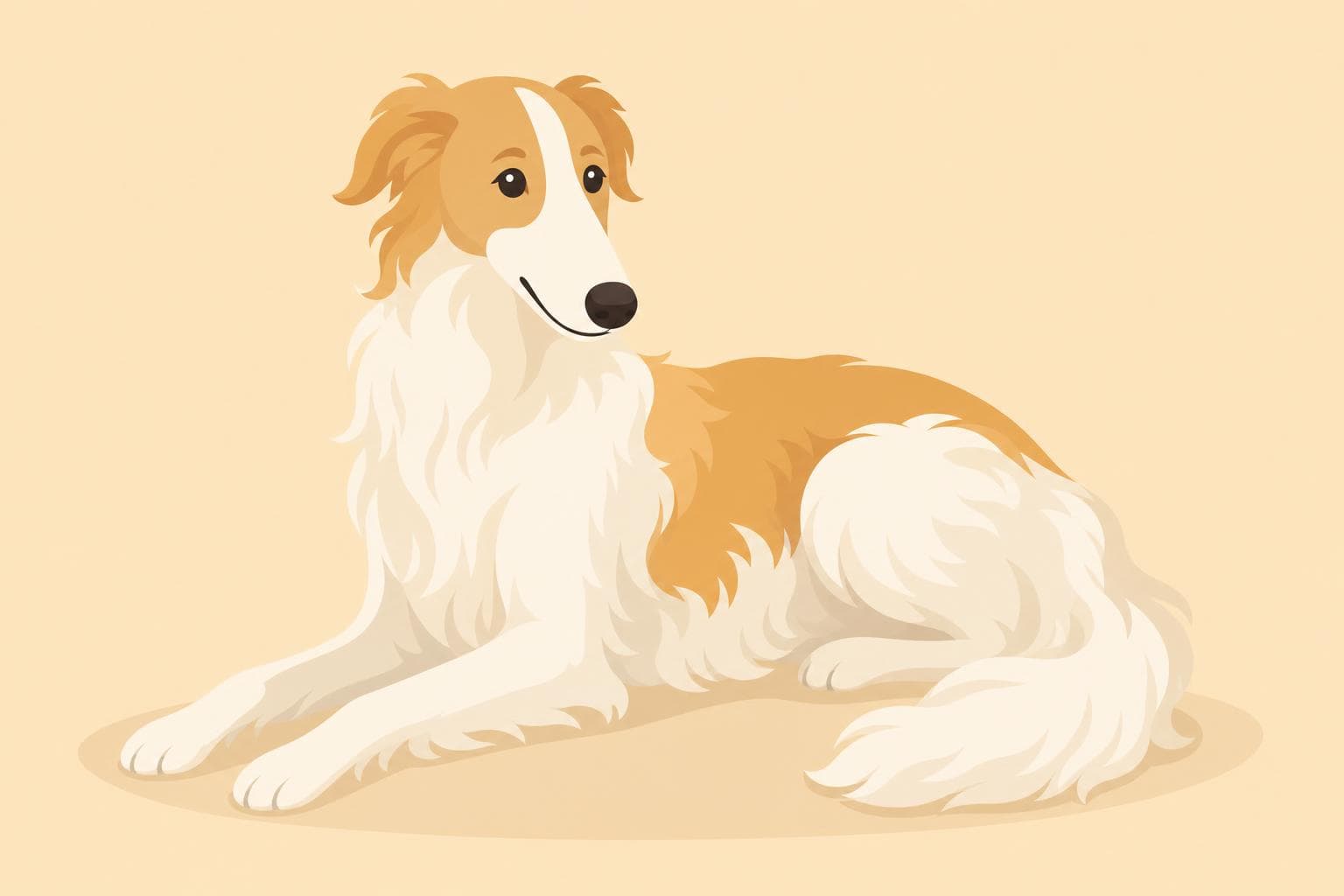 Borzoi — Breed Header
