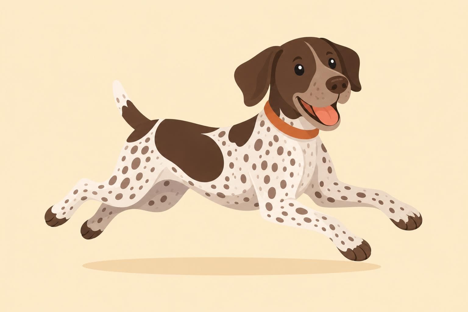 German Shorthaired Pointer — Breed Header