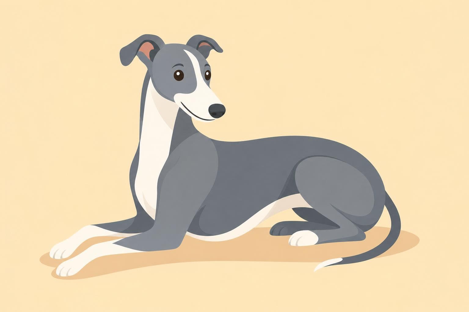 Greyhound — Breed Header