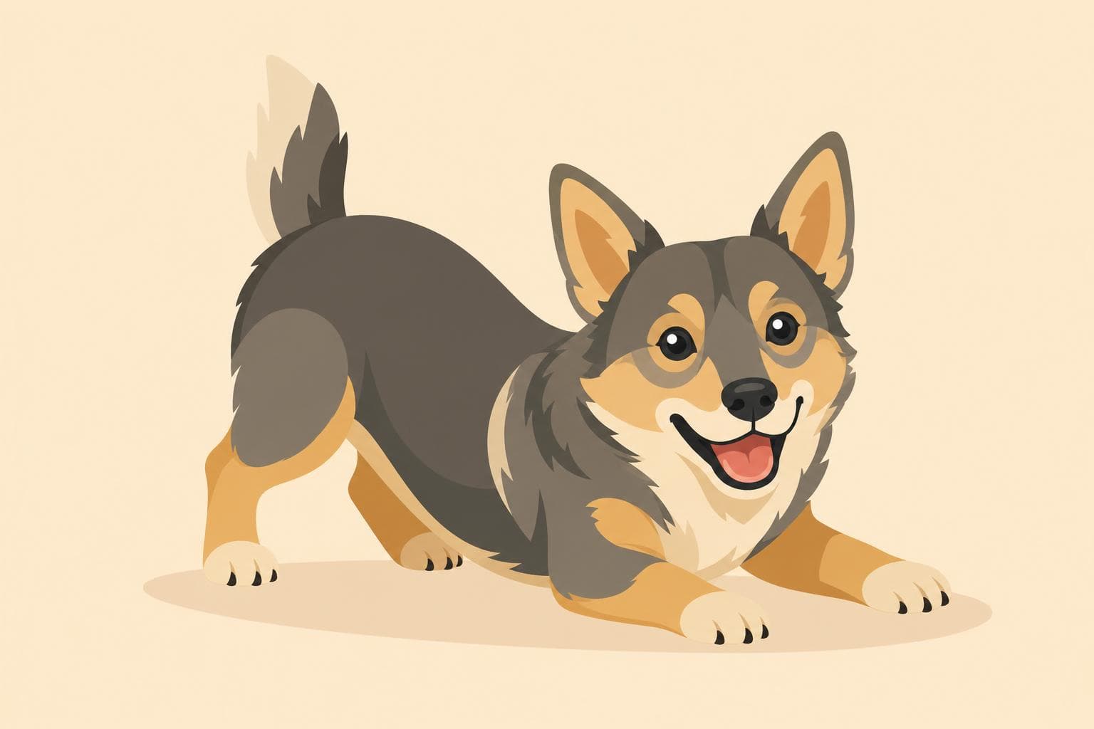 Swedish Vallhund — Breed Header