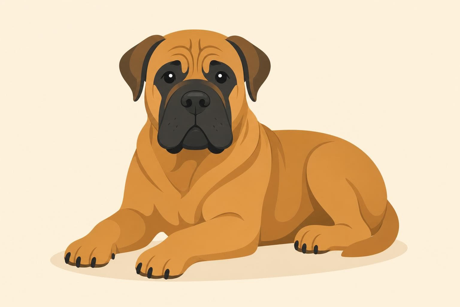 Boerboel — Breed Header