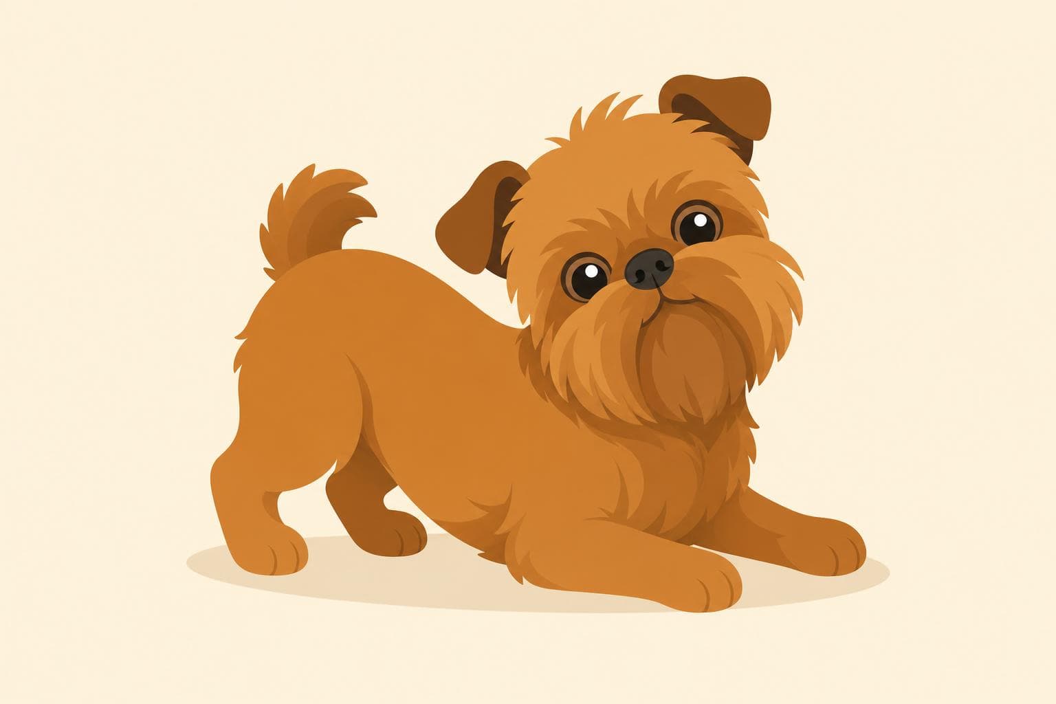 Brussels Griffon — Breed Header