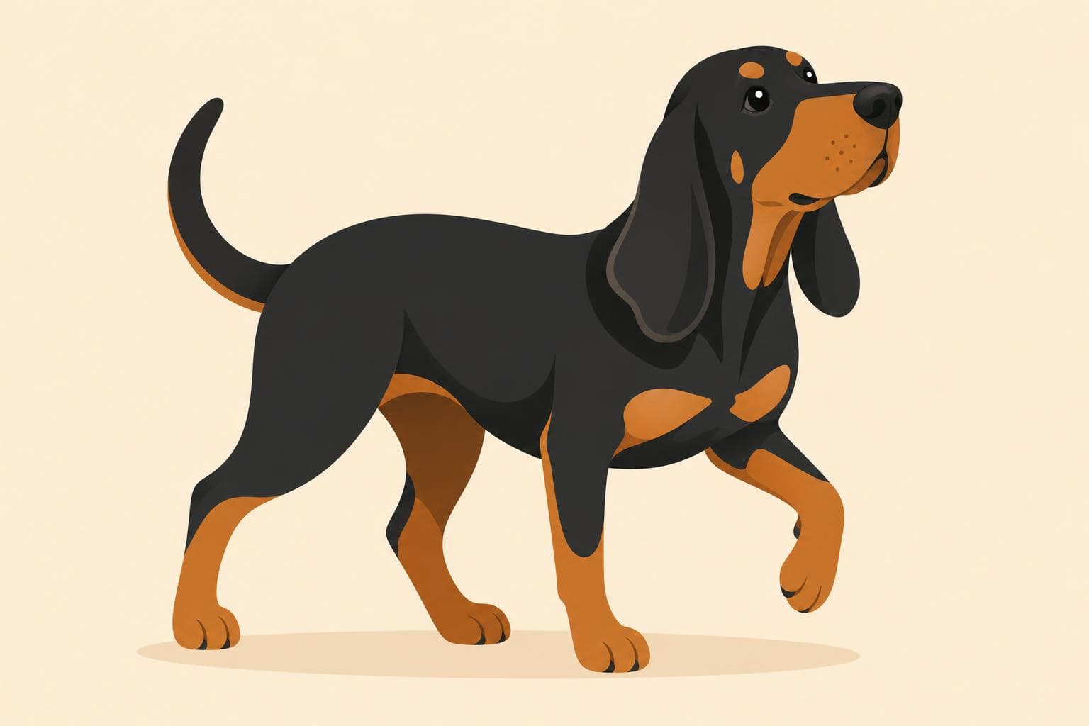Black and Tan Coonhound — Breed Header
