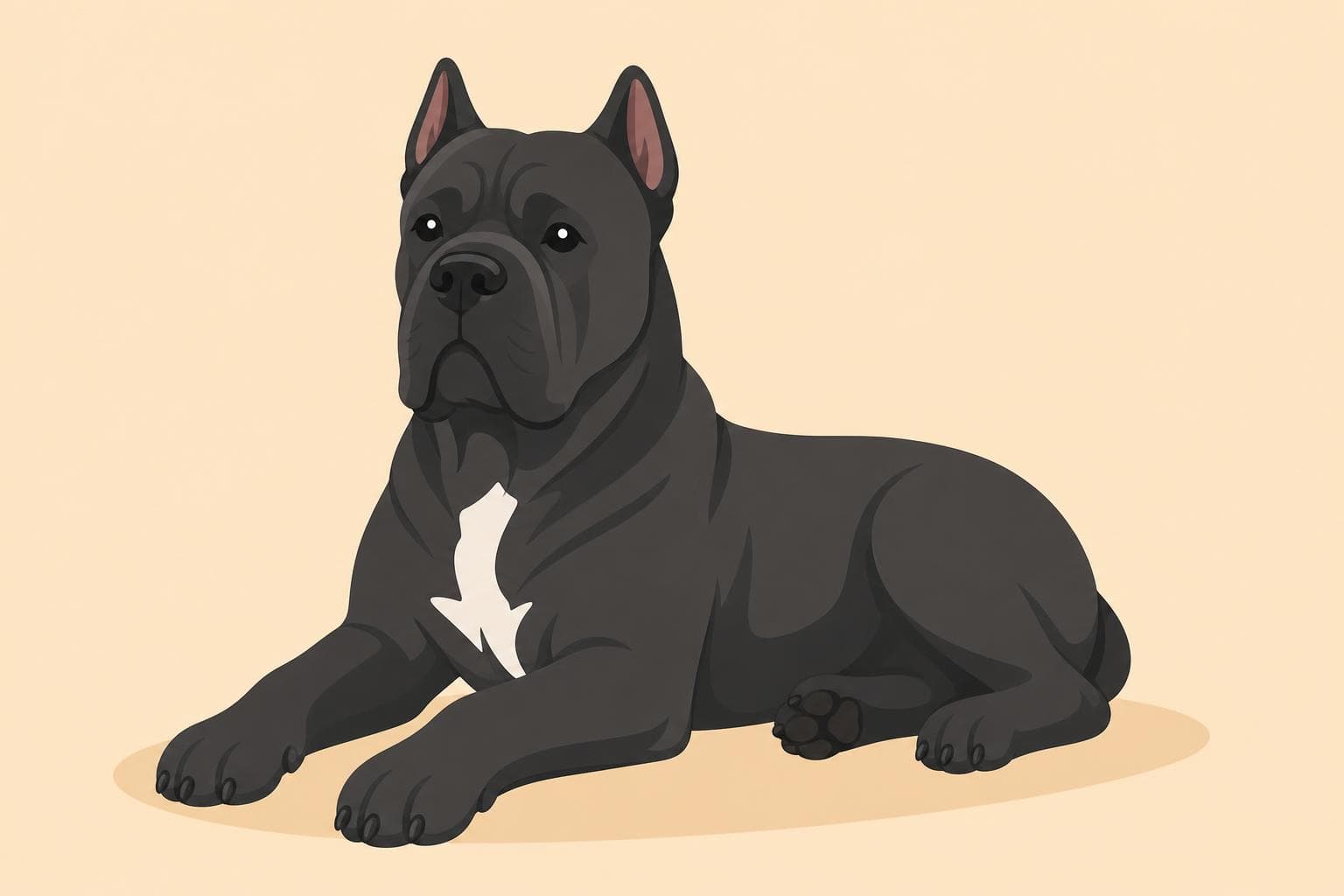 Cane Corso — Breed Header