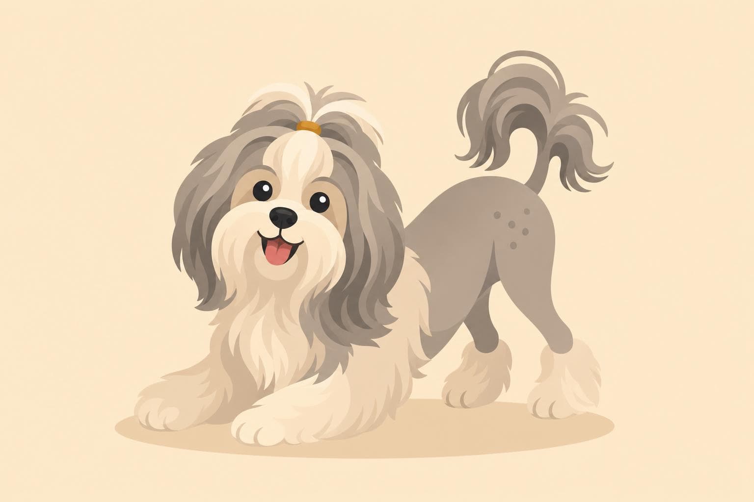 Lowchen — Breed Header