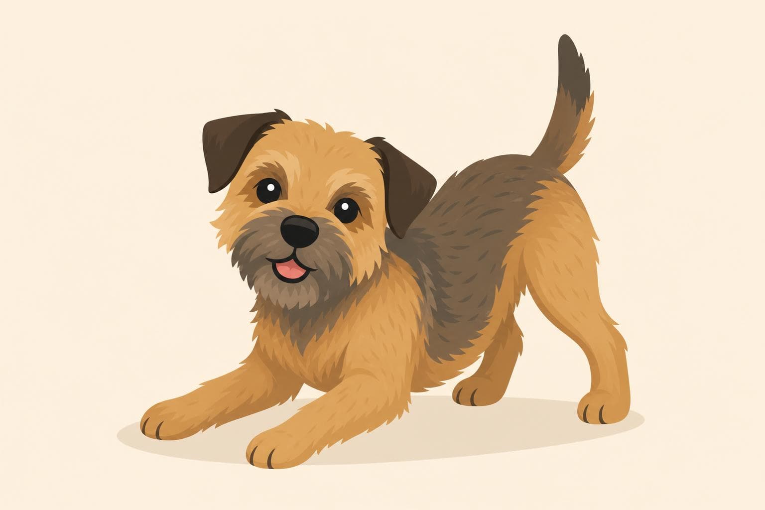 Border Terrier — Breed Header