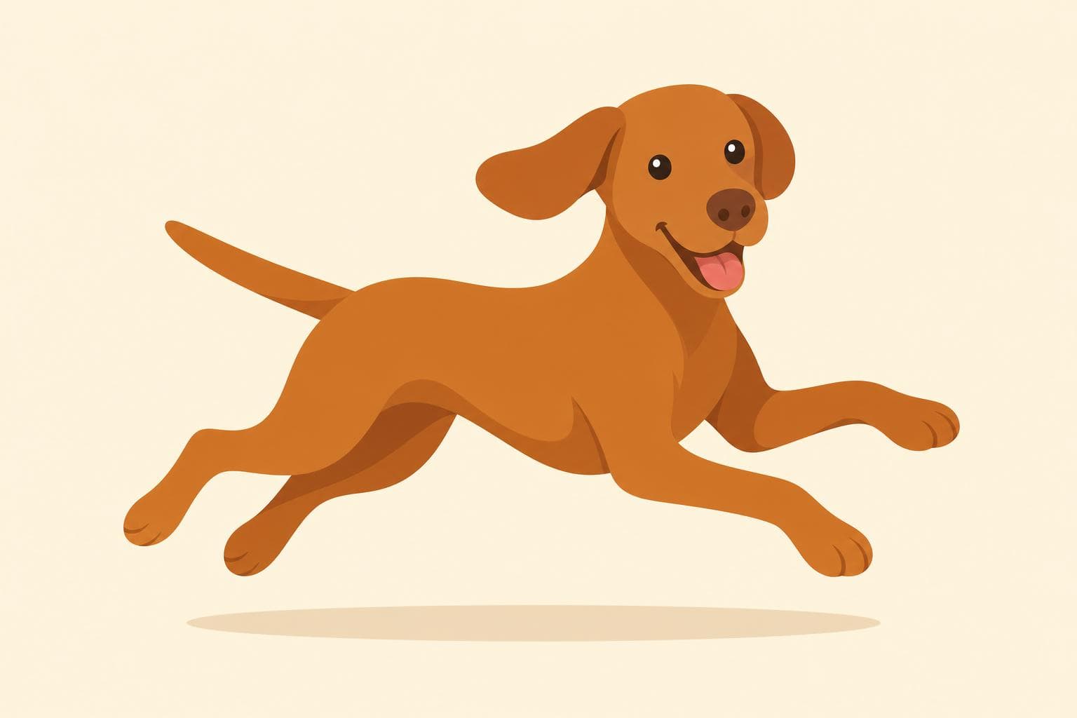 Vizsla — Breed Header