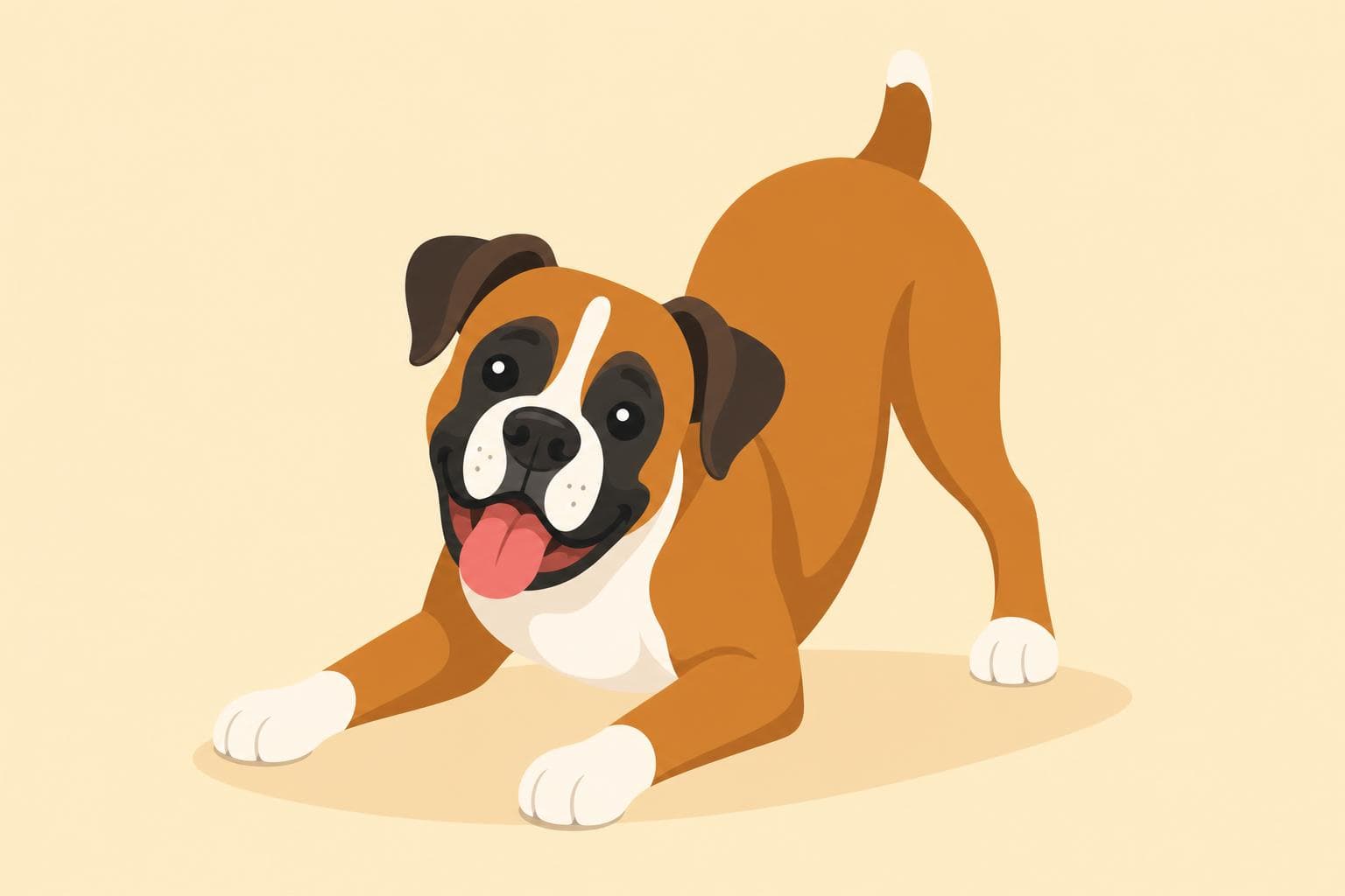 Boxer — Breed Header