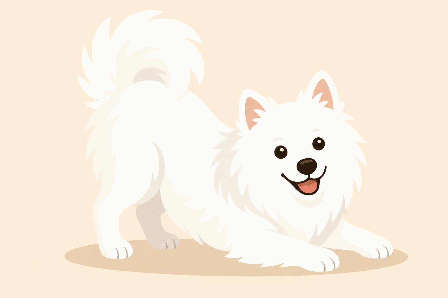 American Eskimo Dog — Breed Header