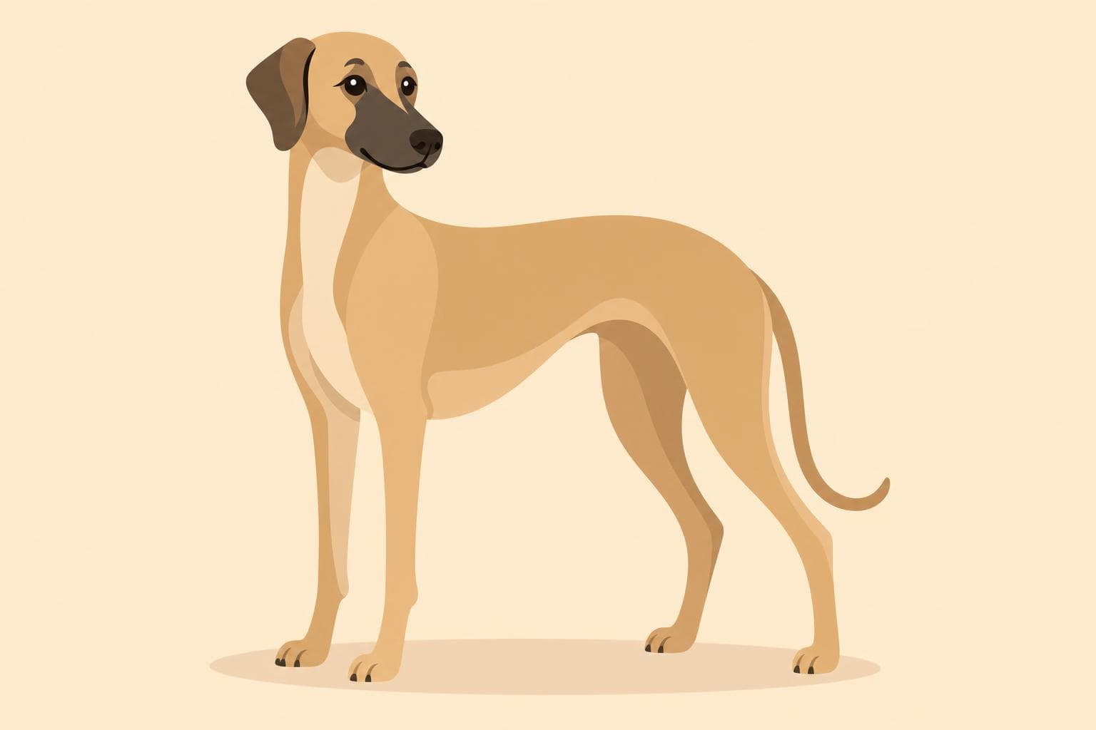 Sloughi — Breed Header
