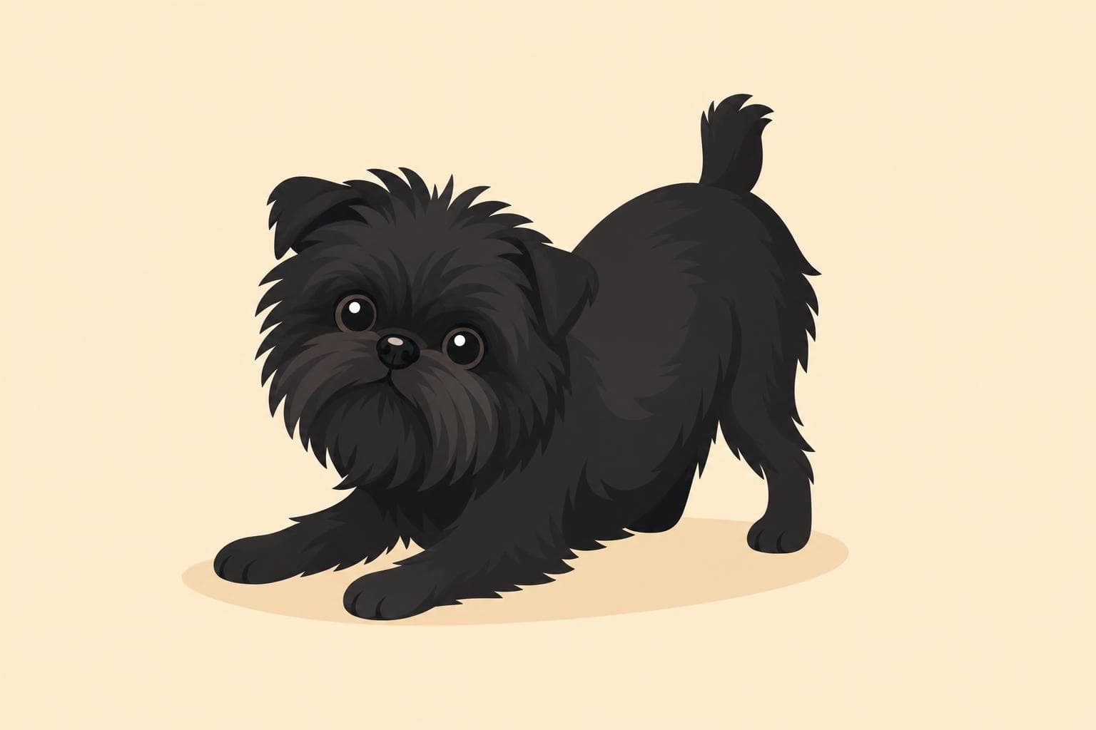 Affenpinscher — Breed Header