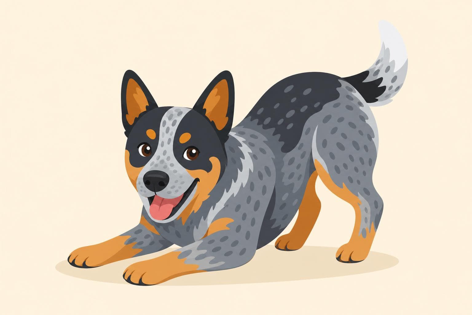 Australian Cattle Dog — Breed Header