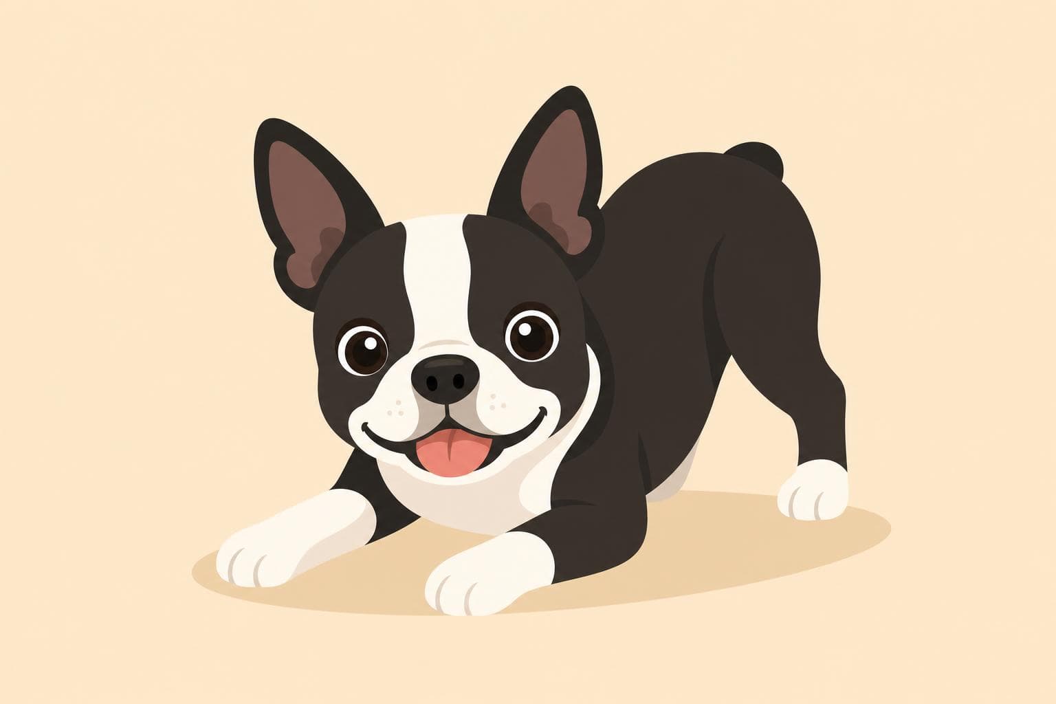 Boston Terrier — Breed Header