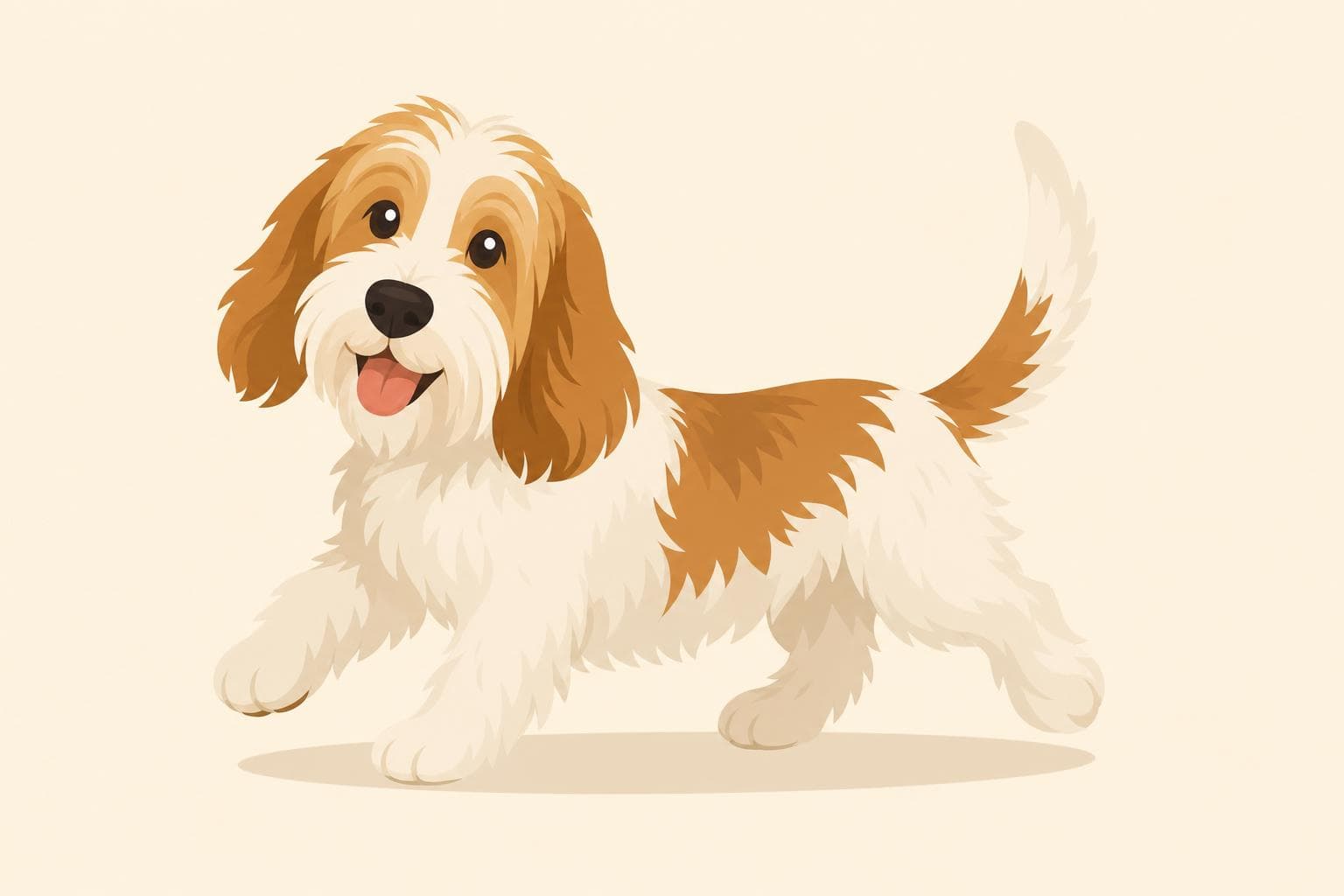 Petit Basset Griffon Vendeen — Breed Header