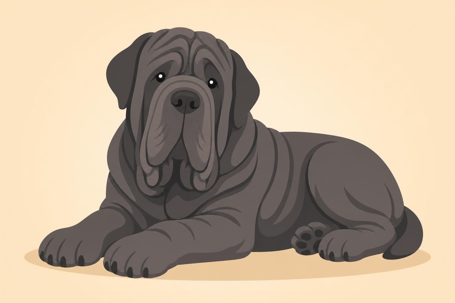 Neapolitan Mastiff — Breed Header