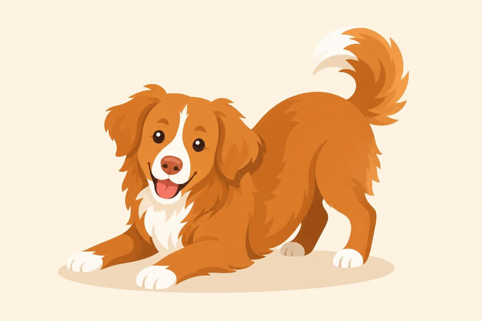 Nova Scotia Duck Tolling Retriever — Breed Header