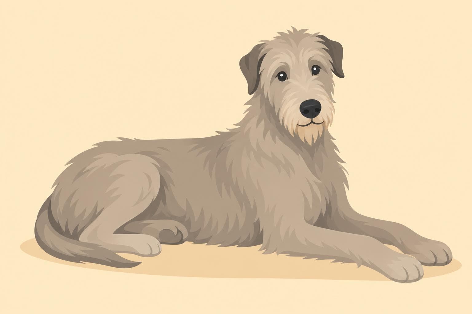 Irish Wolfhound — Breed Header