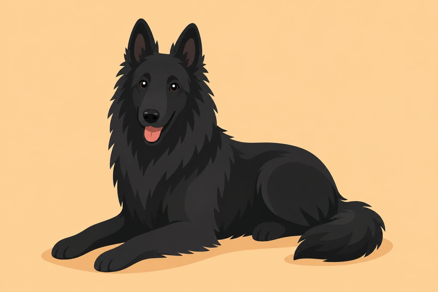 Belgian Sheepdog — Breed Header