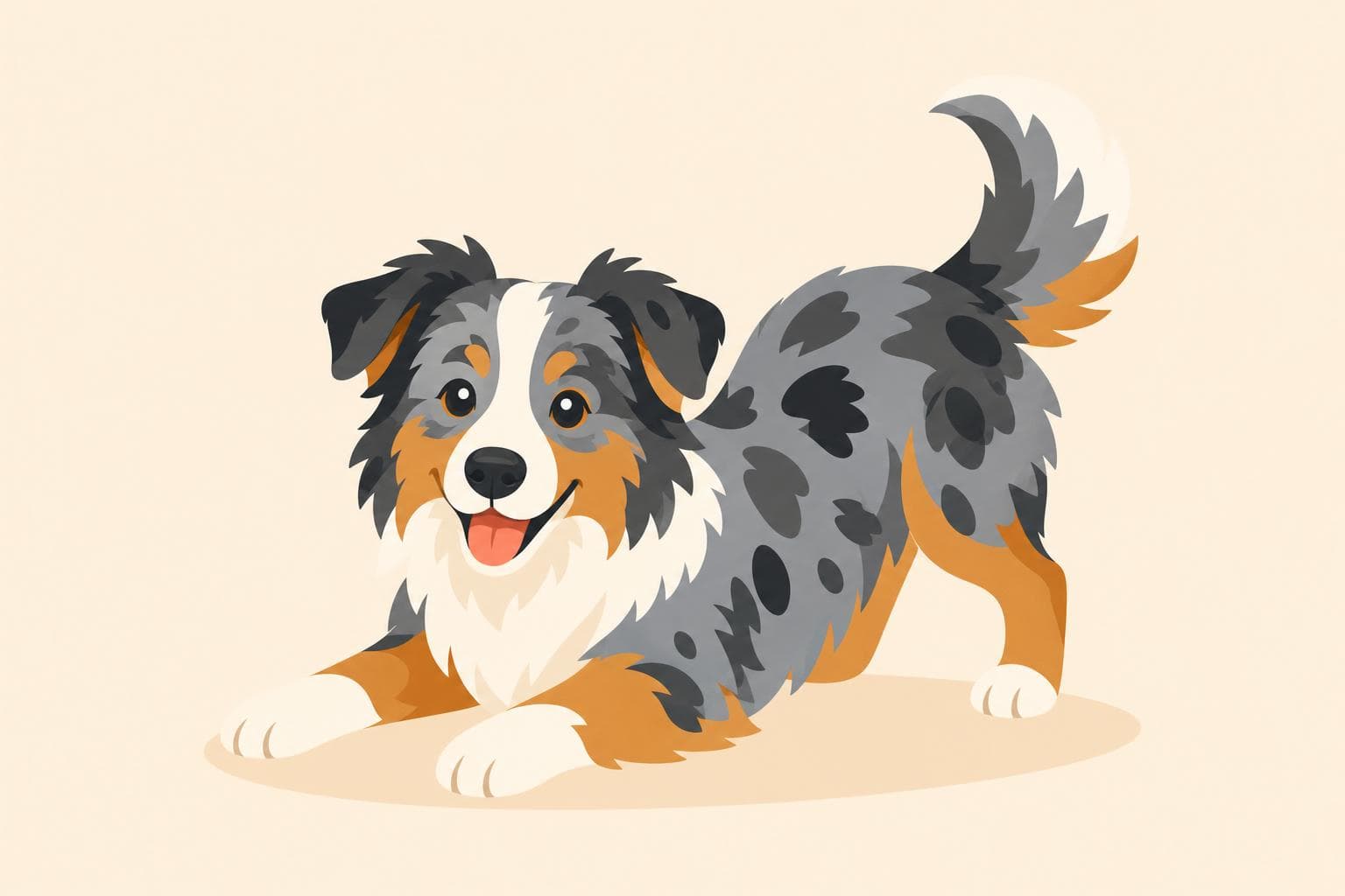 Australian Shepherd — Breed Header