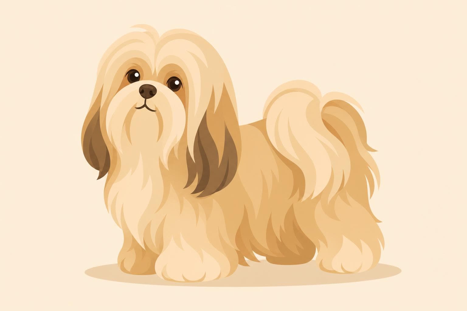 Lhasa Apso — Breed Header