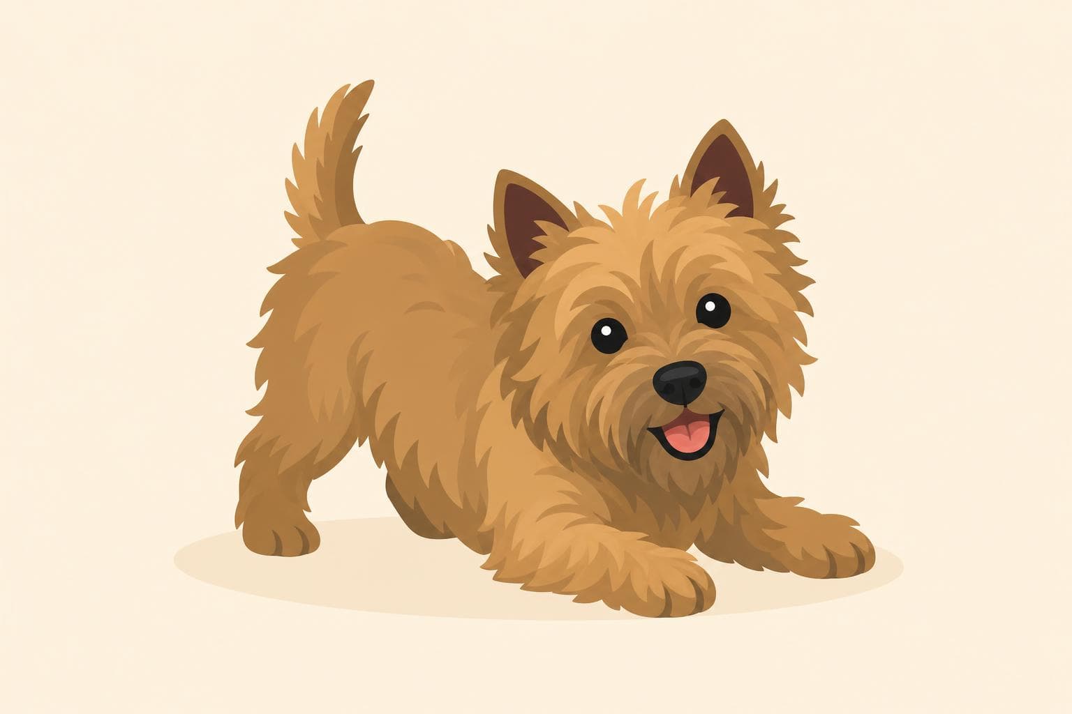 Cairn Terrier — Breed Header