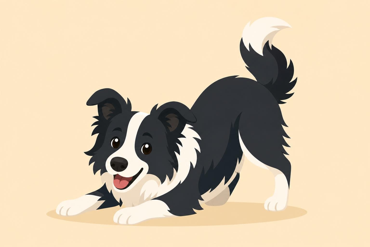Border Collie — Breed Header