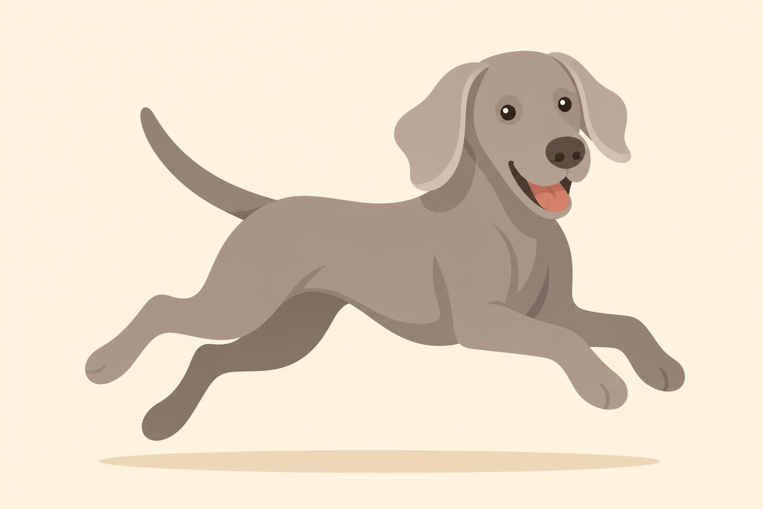 Weimaraner — Breed Header