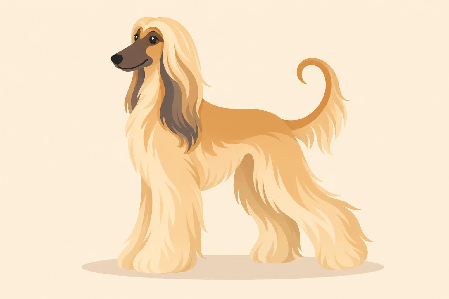 Afghan Hound — Breed Header