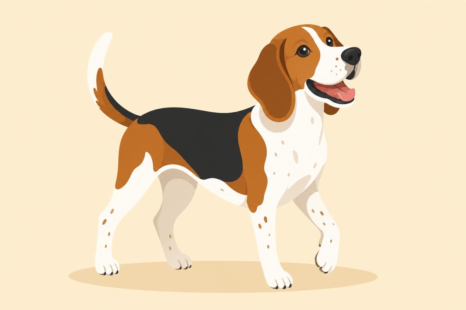 Treeing Walker Coonhound — Breed Header