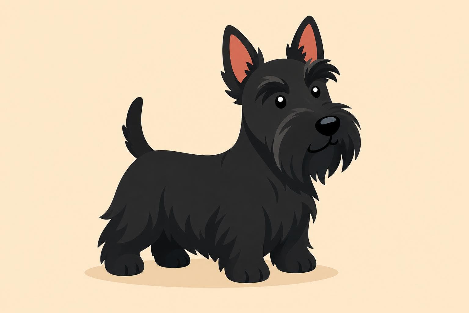 Scottish Terrier — Breed Header