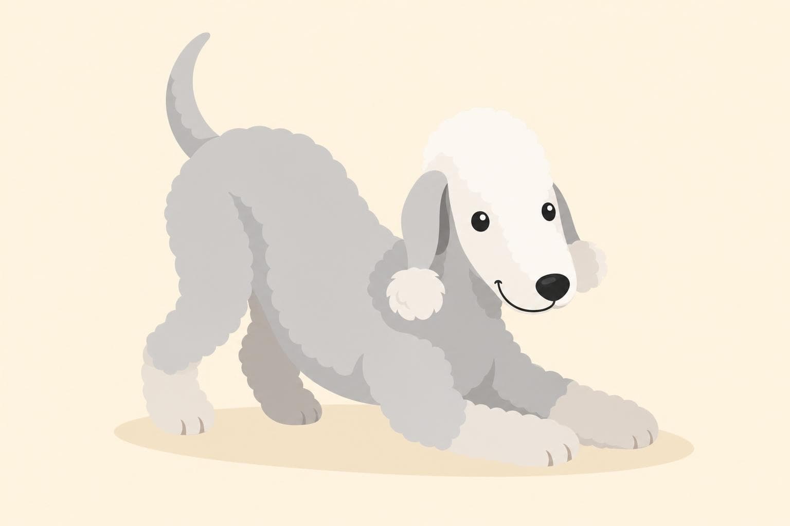 Bedlington Terrier — Breed Header