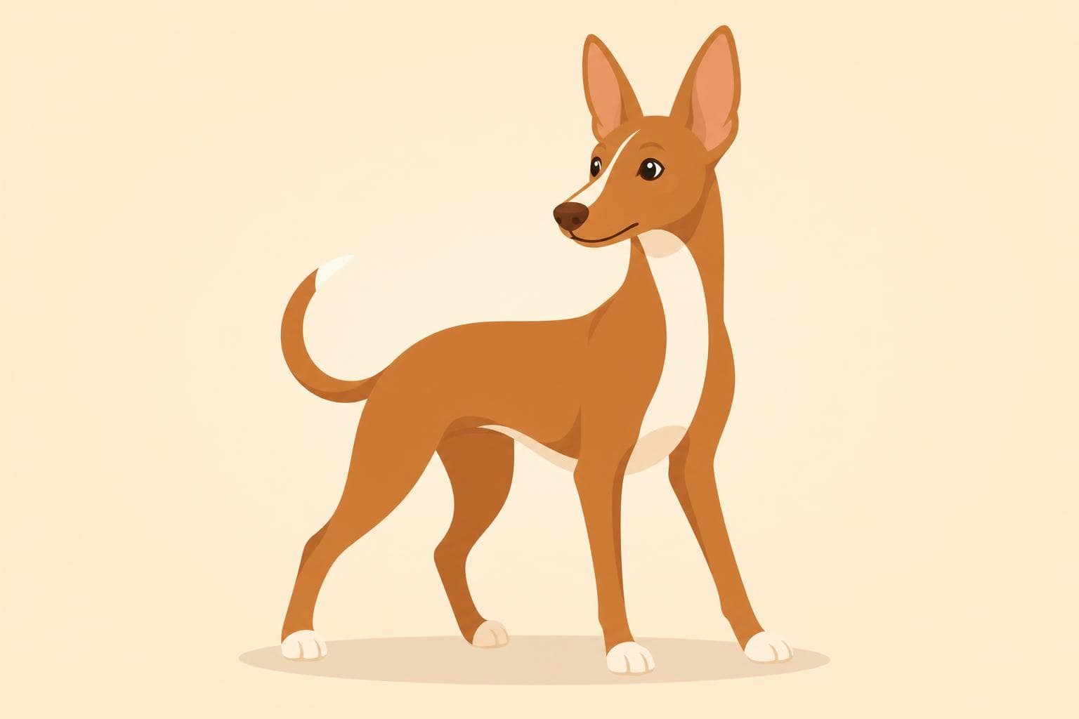 Cirneco dell'Etna — Breed Header