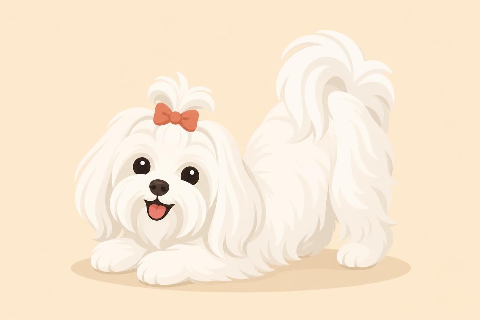 Maltese — Breed Header