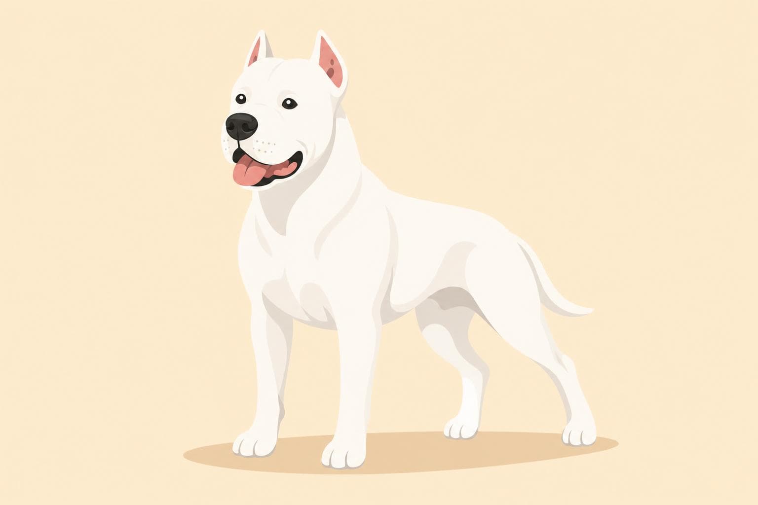 Dogo Argentino — Breed Header