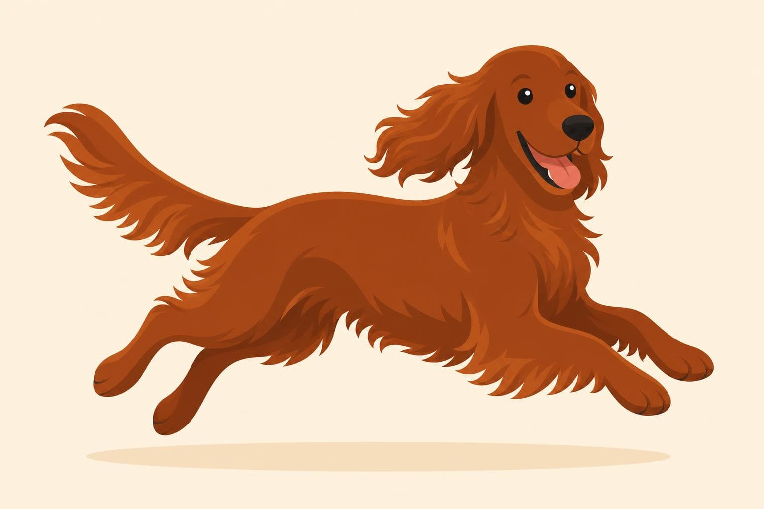 Irish Setter — Breed Header