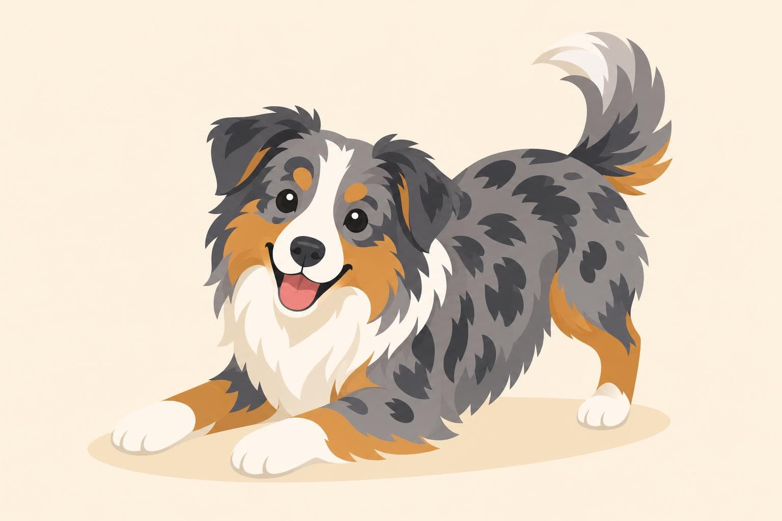 Miniature American Shepherd — Breed Header